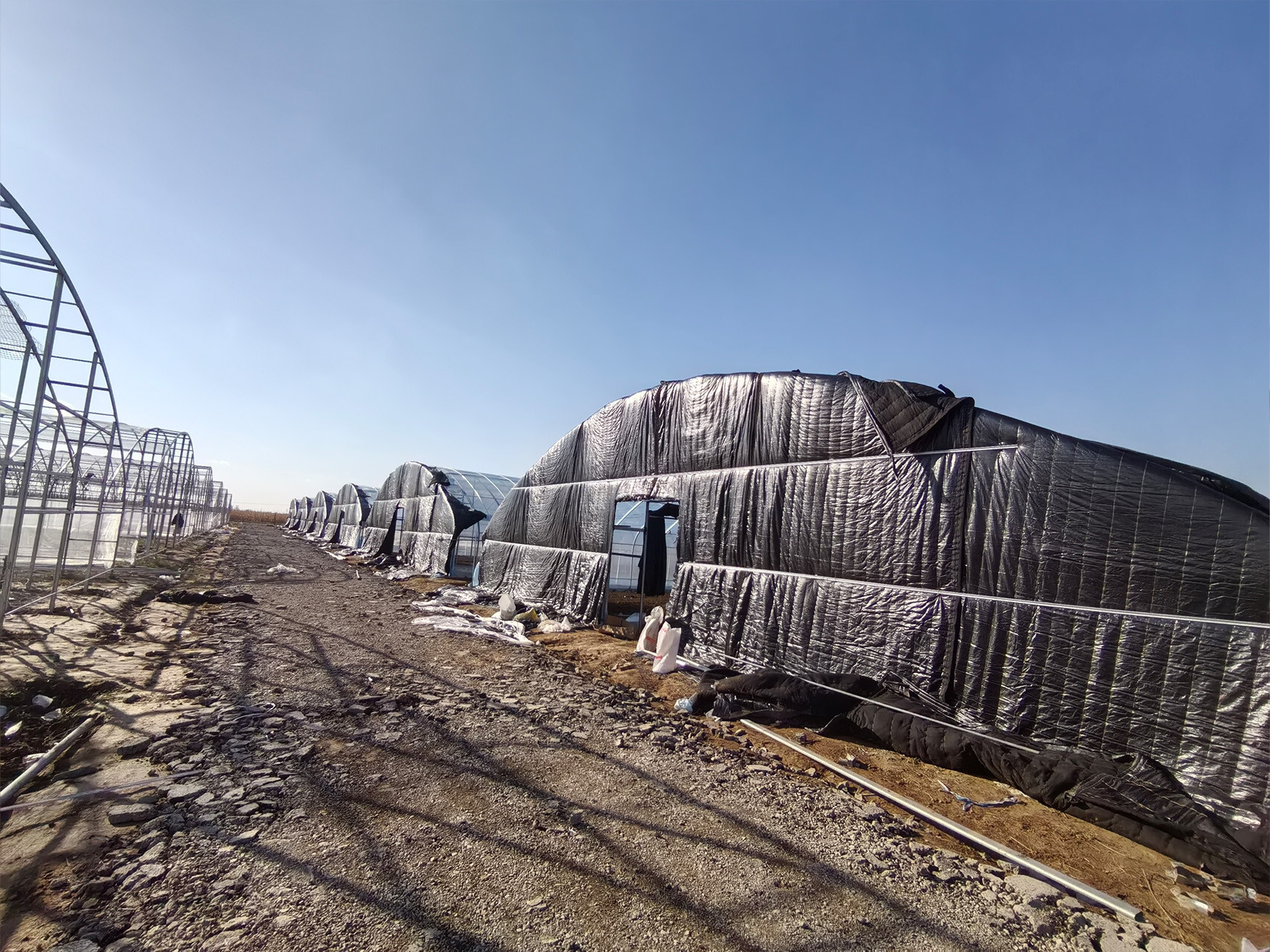 温室大棚棉被正确使用方法的介绍