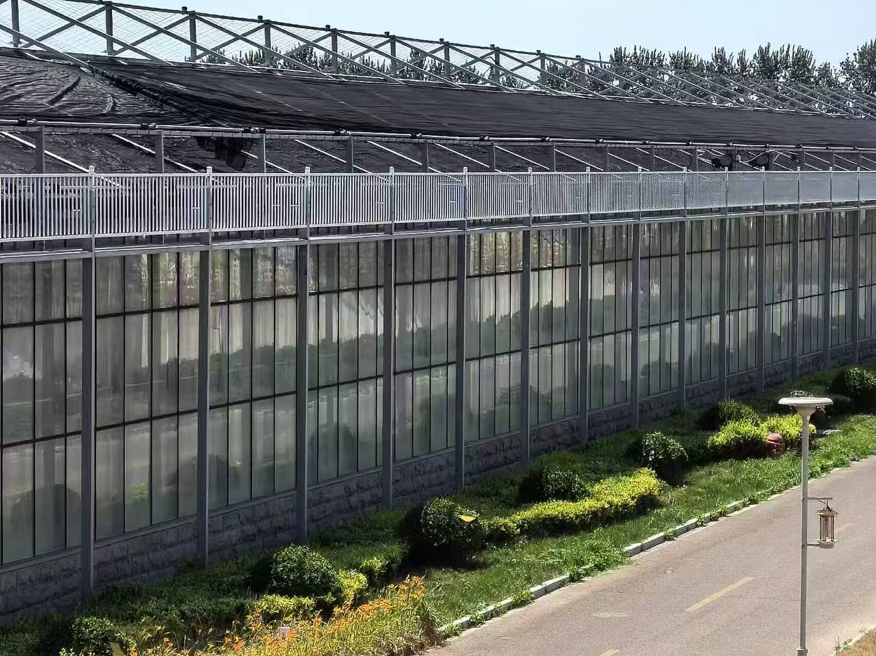 纹络式玻璃温室