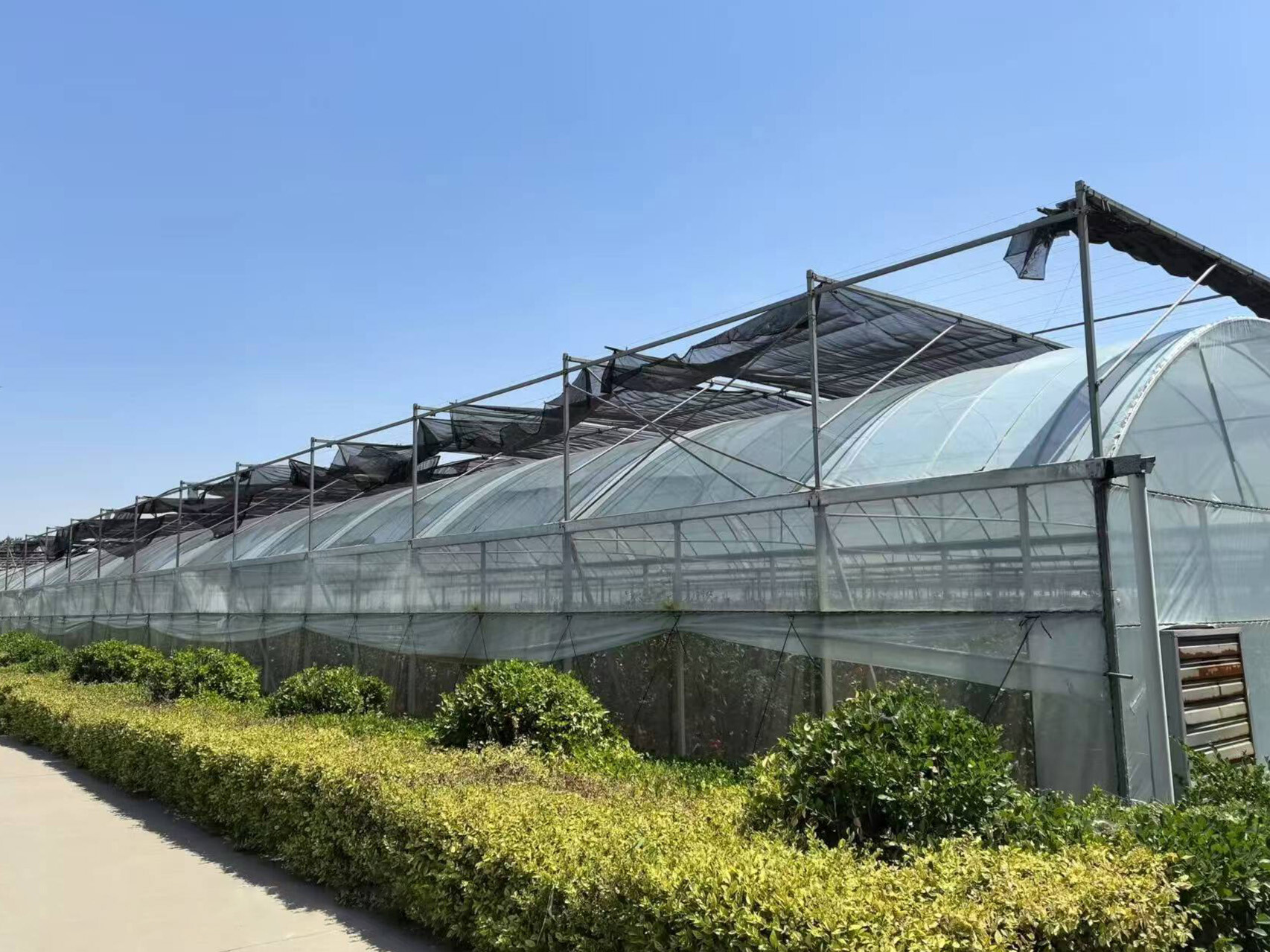 薄膜连动智能大棚