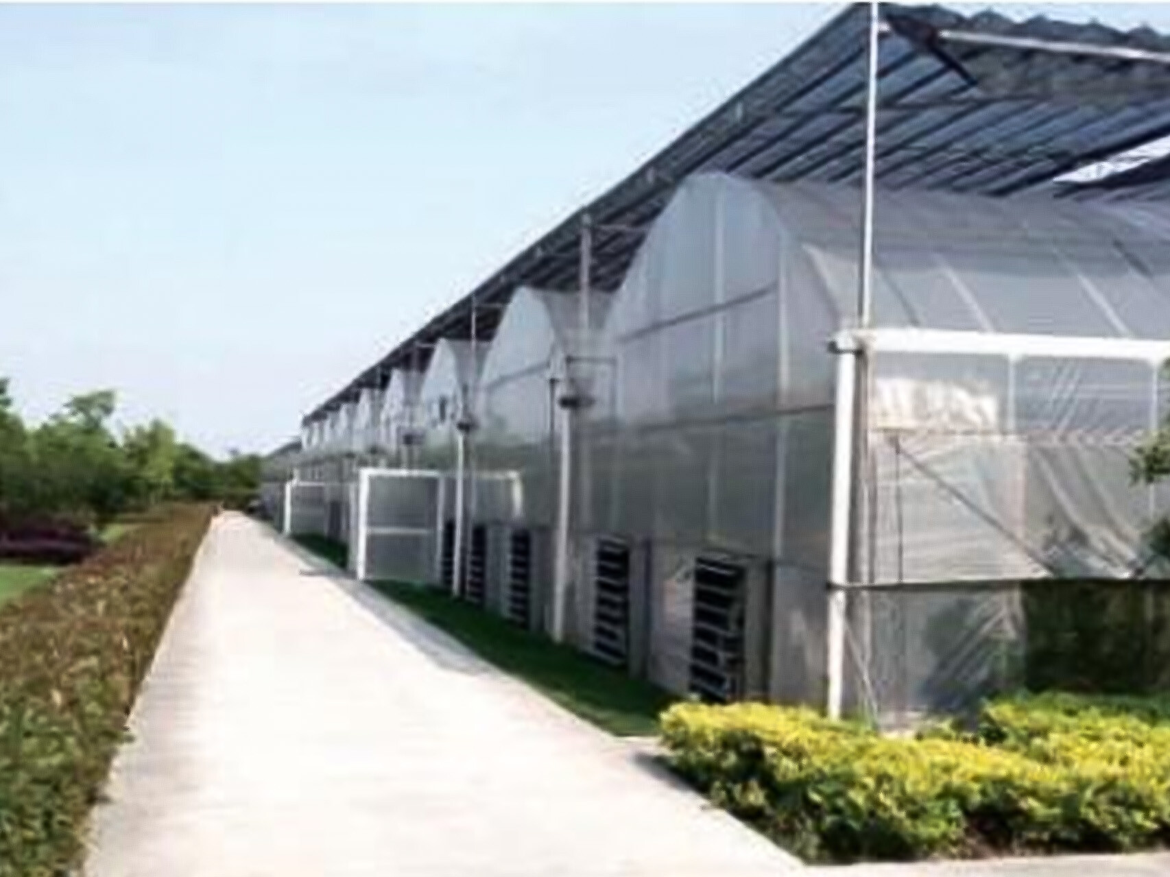 薄膜连动智能大棚