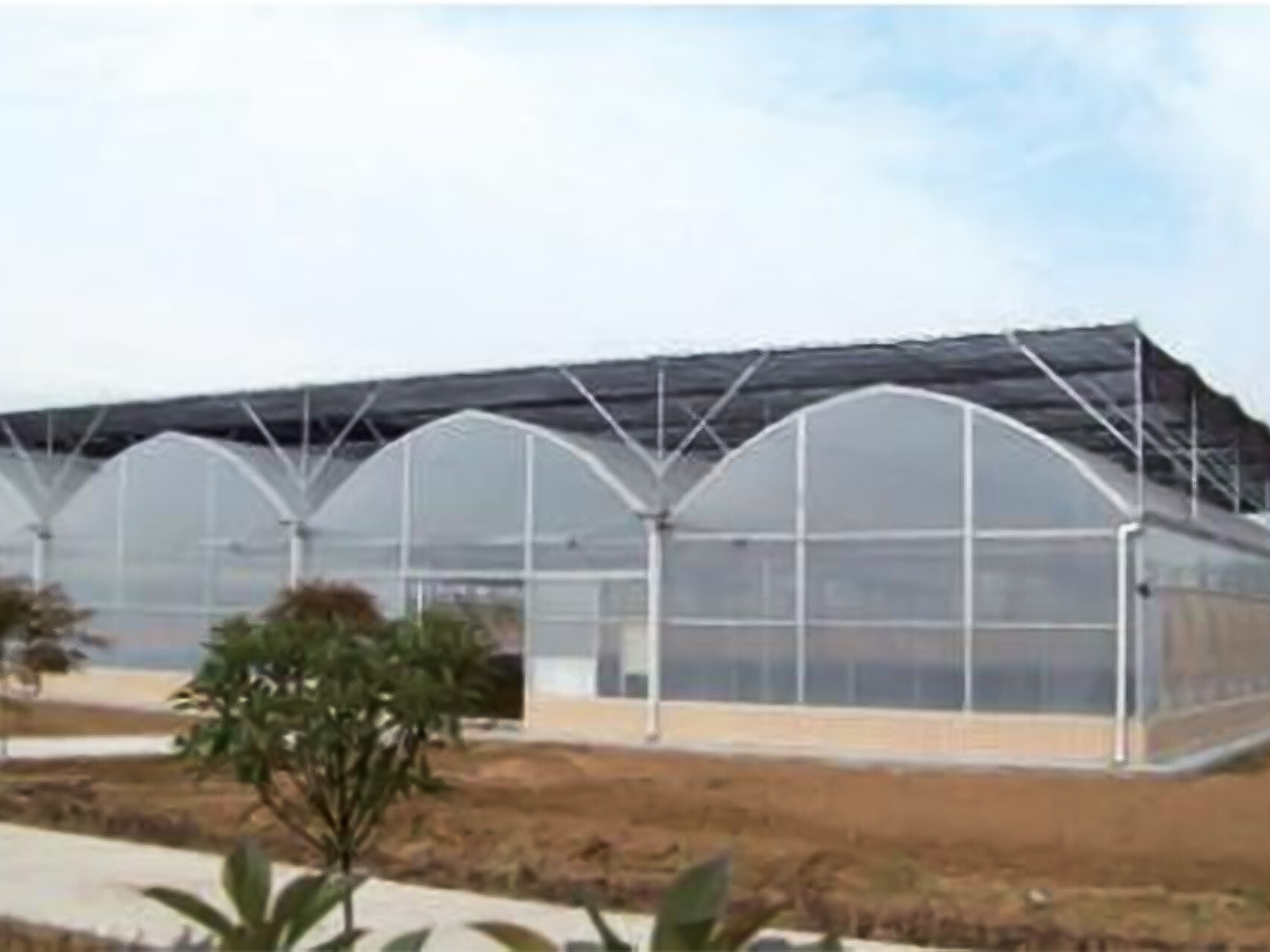 薄膜连动智能大棚