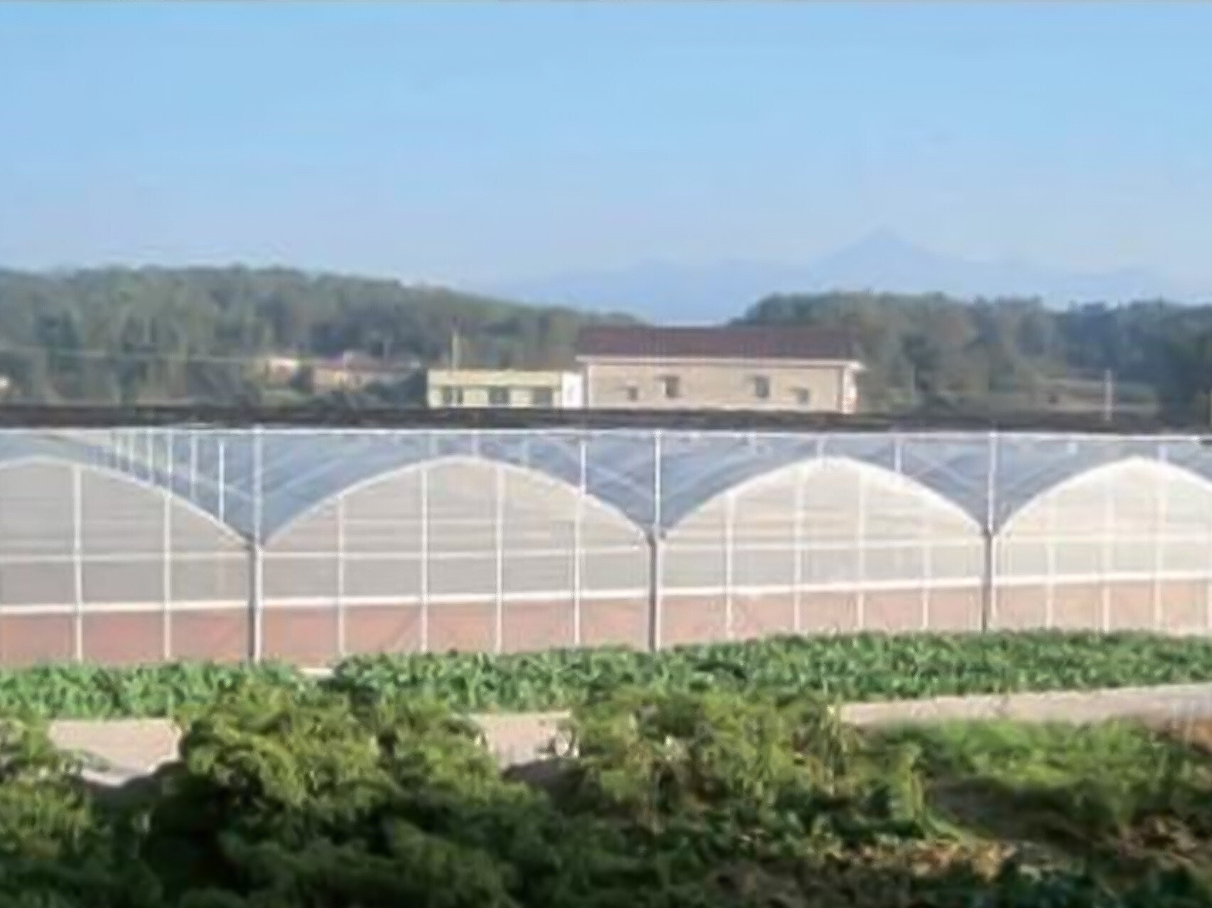 薄膜连动智能大棚