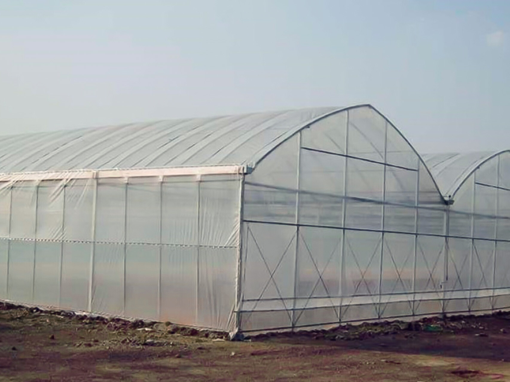 双膜骨架大棚