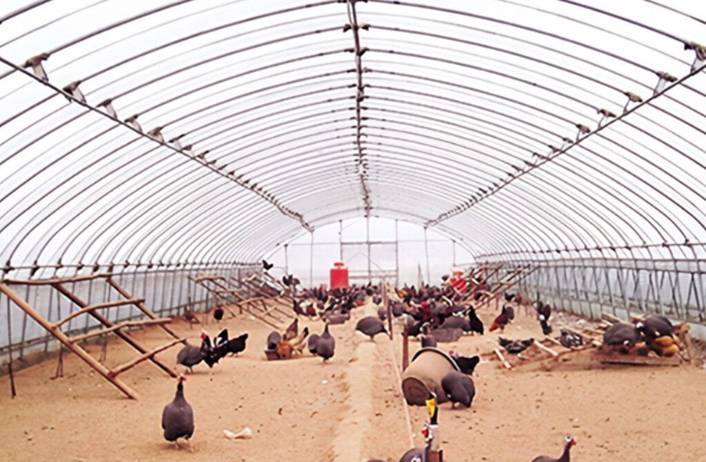 养殖大棚夏季遮阳降温全攻略