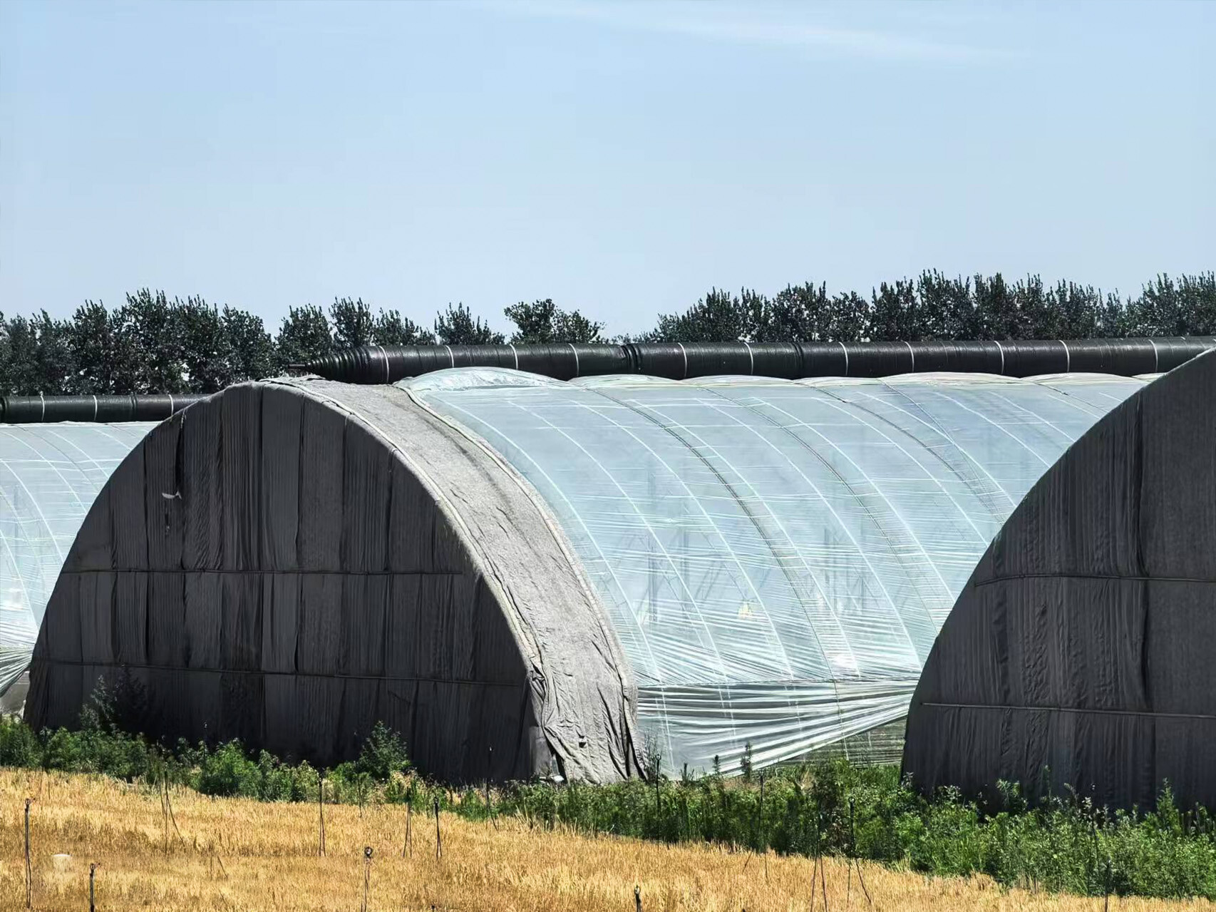 日光温室（半坡暖棚）