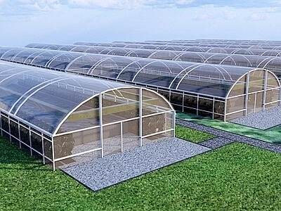 温室大棚搭建秘籍曝光：从无到有的全程指南来了
