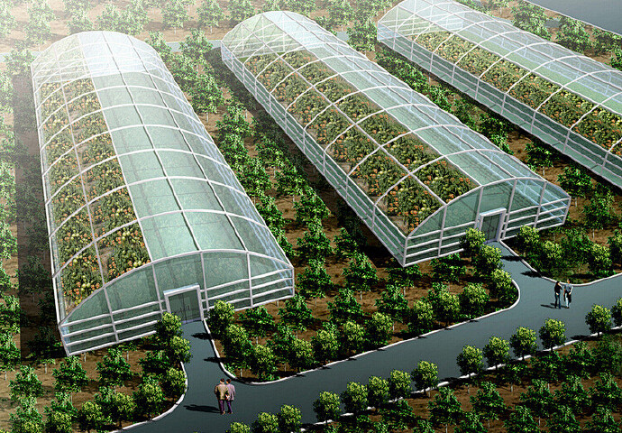 定制温室大棚：打造专属的农业小气候