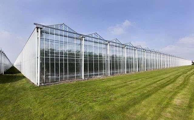 温室建设中的适应性措施与区域特征比较