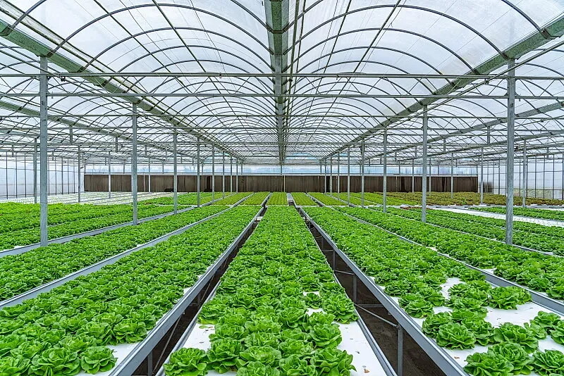 养殖大棚防积水攻略：排水系统科学安装与隐患规避指南