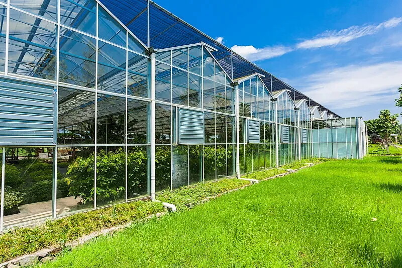 连体大棚 VS 单体大棚：使用场景与功能特性的深度辨析