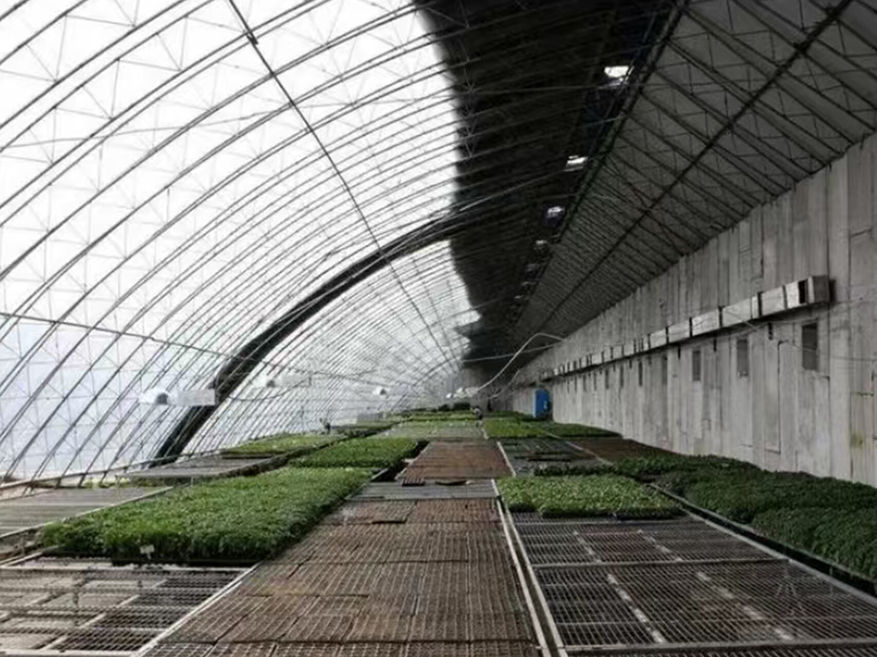 日光温室（半坡暖棚）