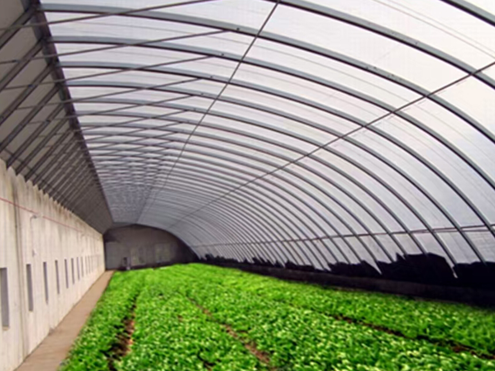 日光温室（半坡暖棚）