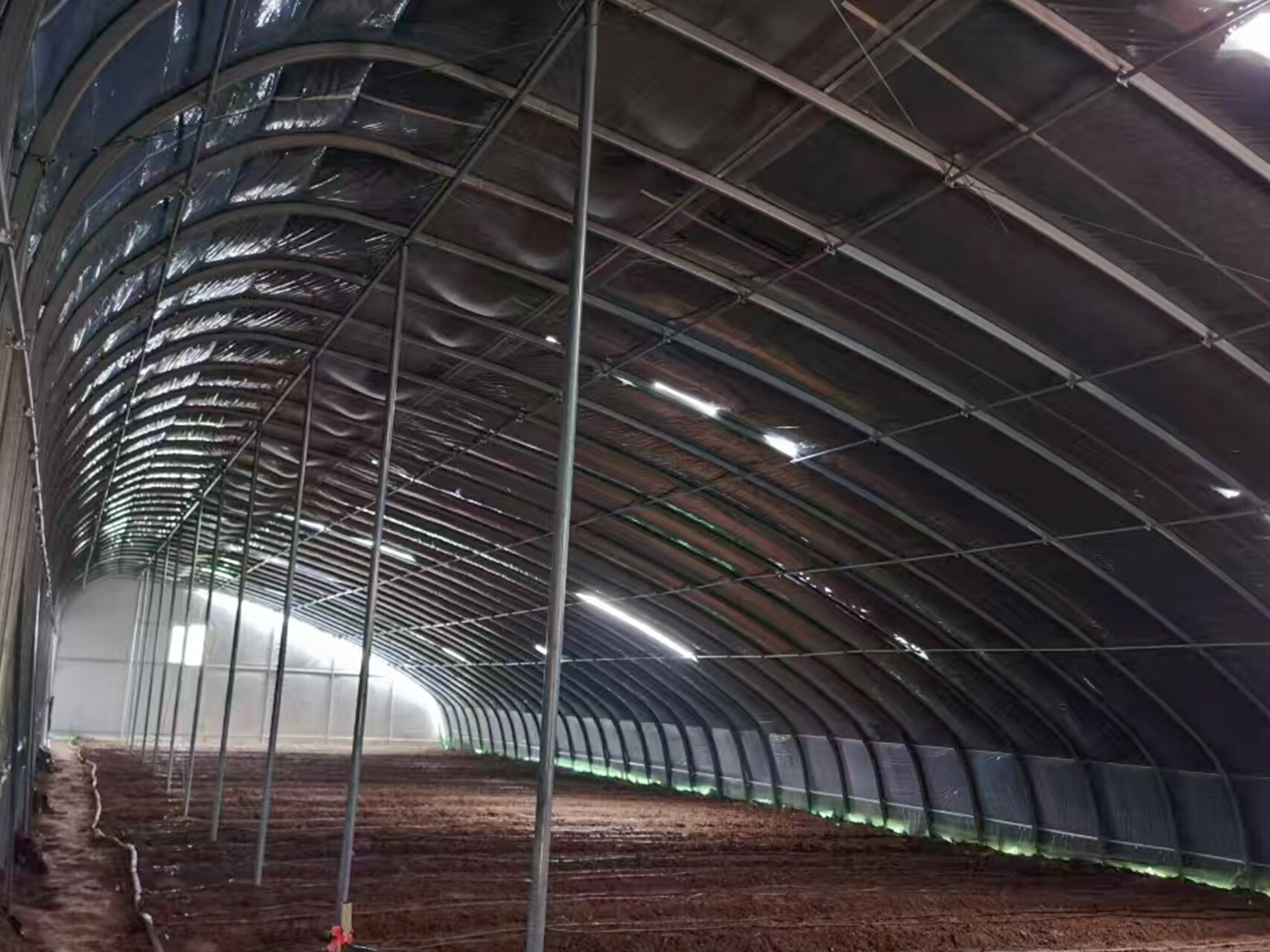 日光温室（半坡暖棚）