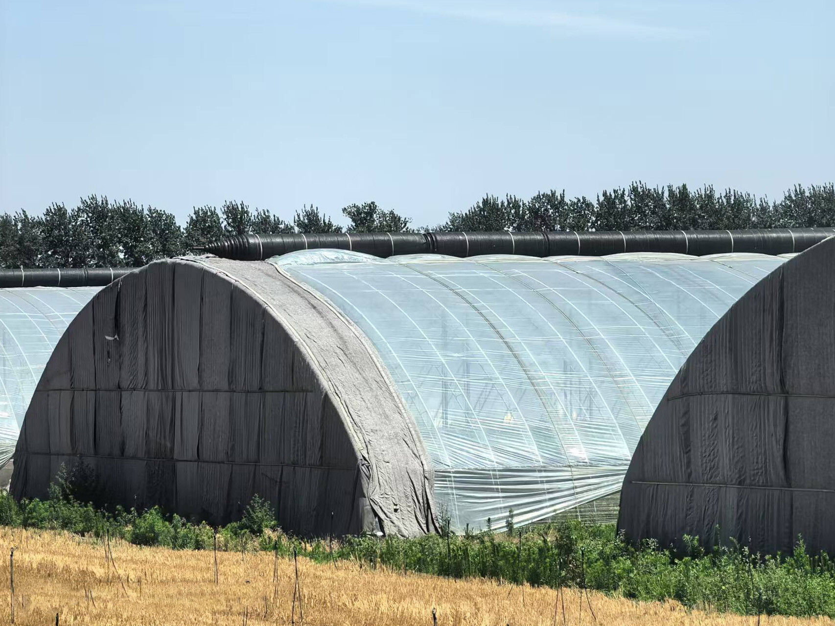 拱型暖棚
