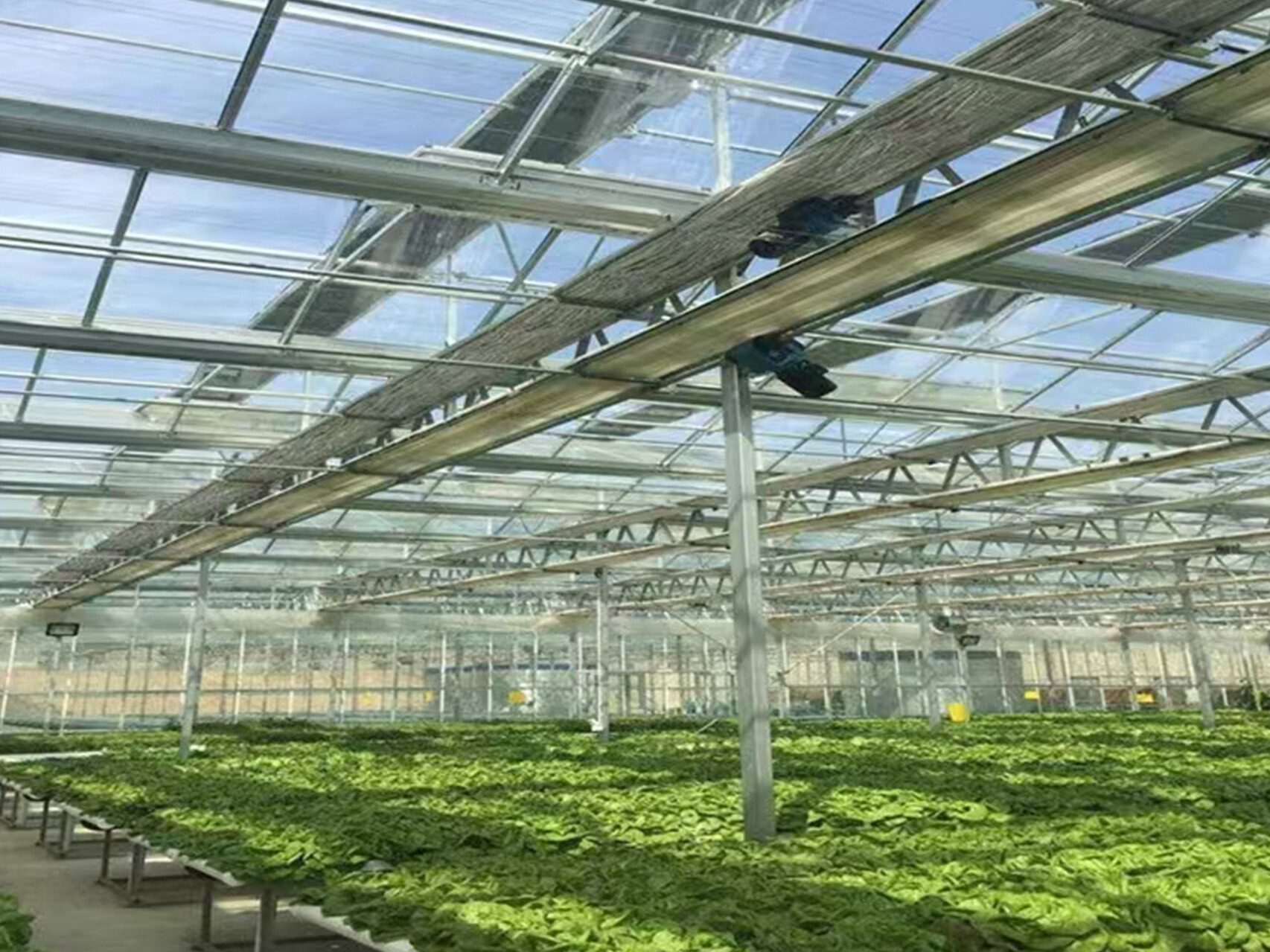 精控温湿：解锁温室大棚高产密码