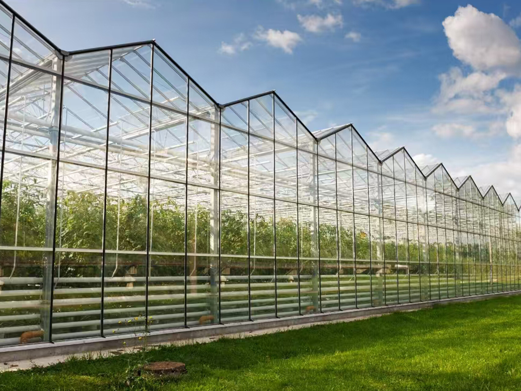 纹络式玻璃温室