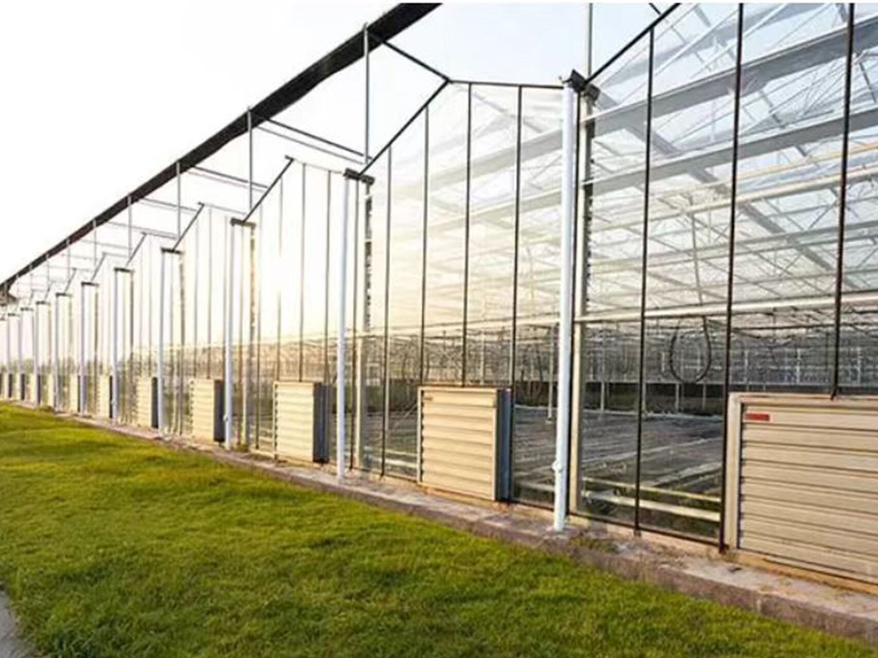 纹络式玻璃温室