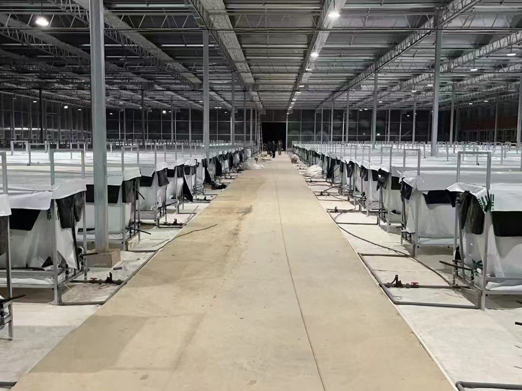 纹络式玻璃温室