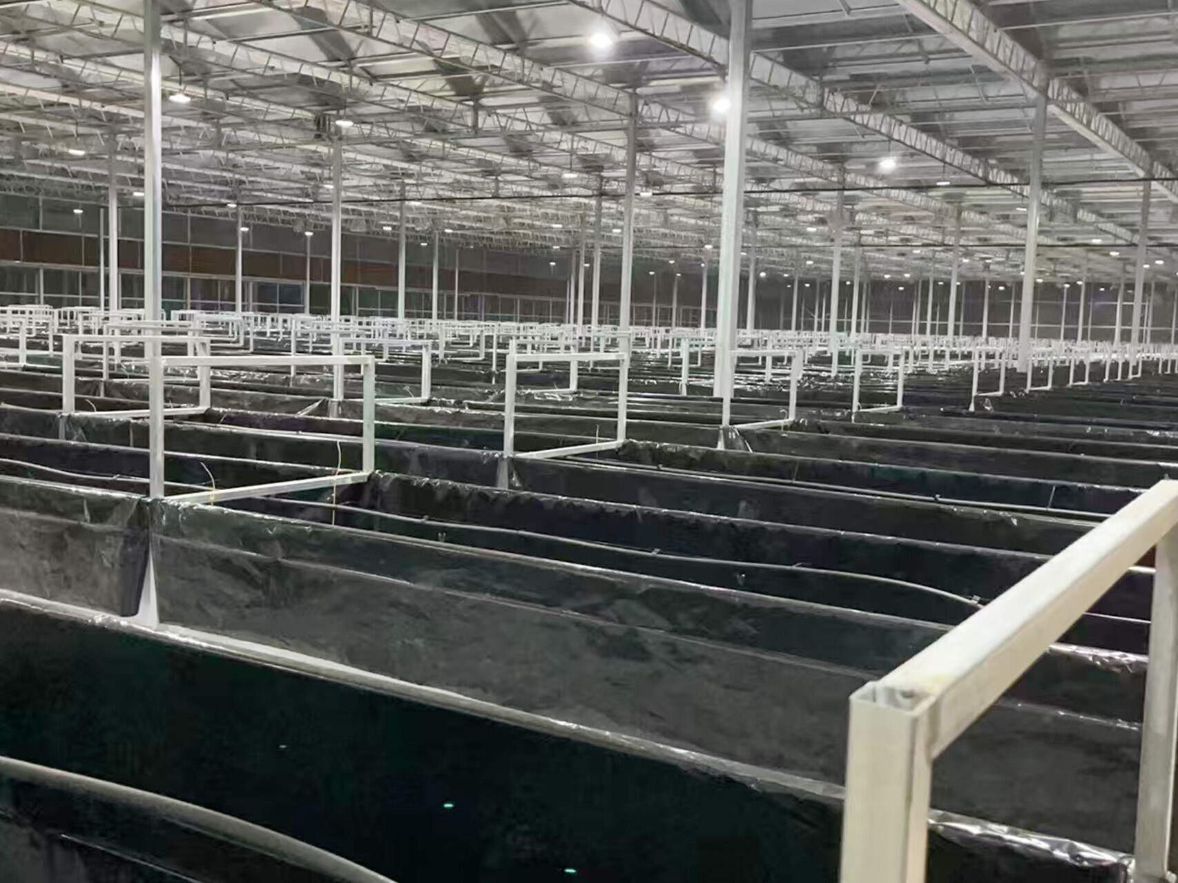 纹络式玻璃温室