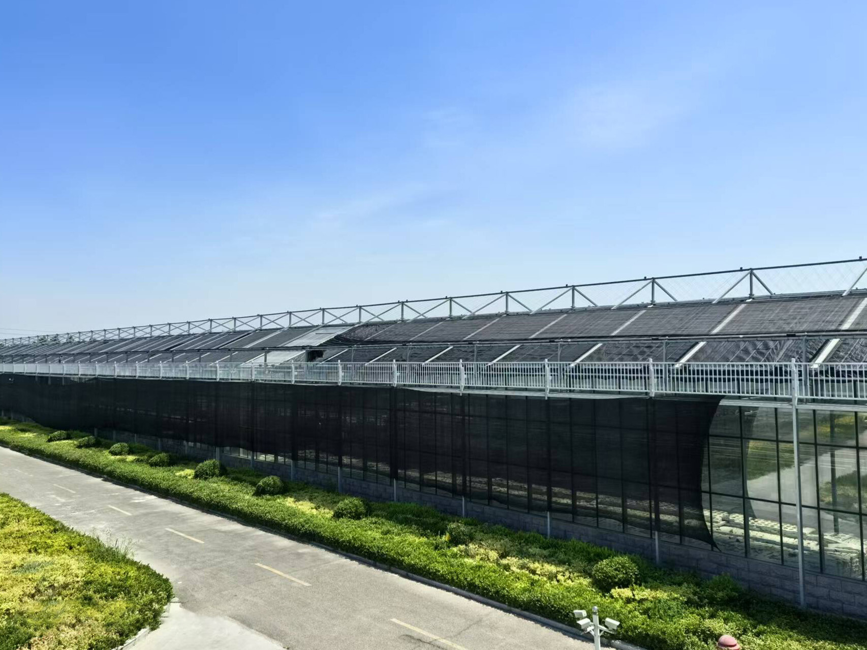 纹络式玻璃温室