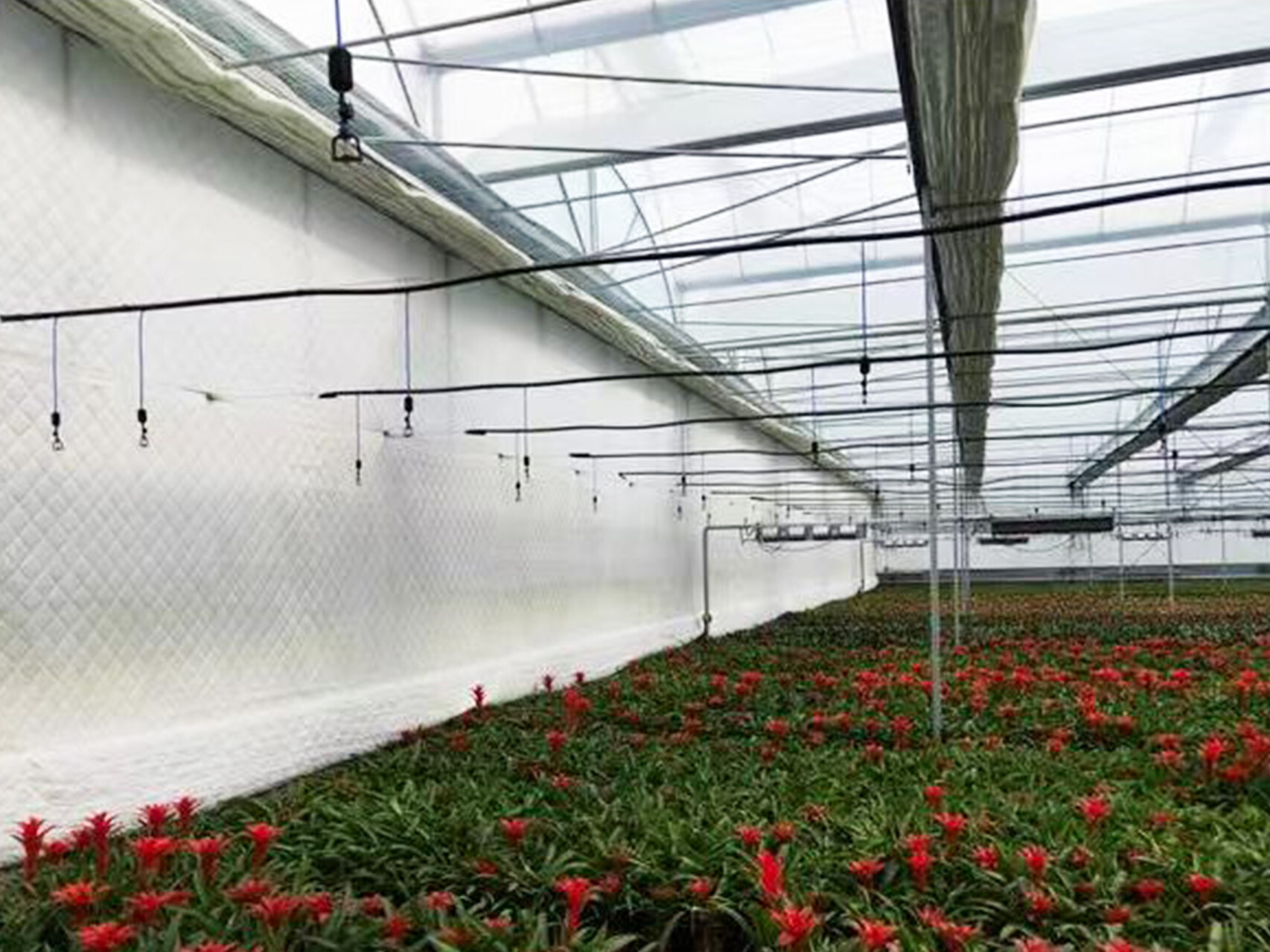 薄膜连动智能大棚