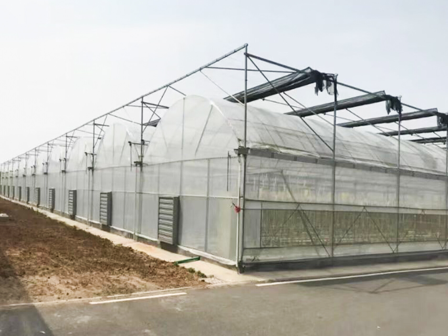 薄膜连动智能大棚