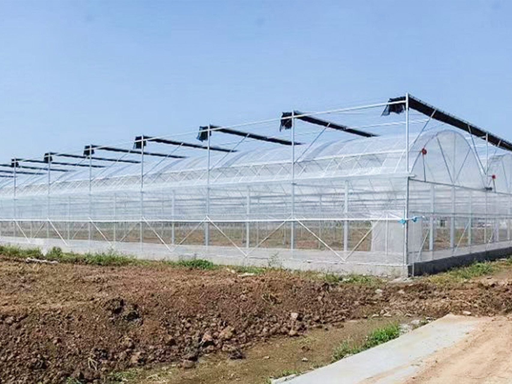 薄膜连动智能大棚