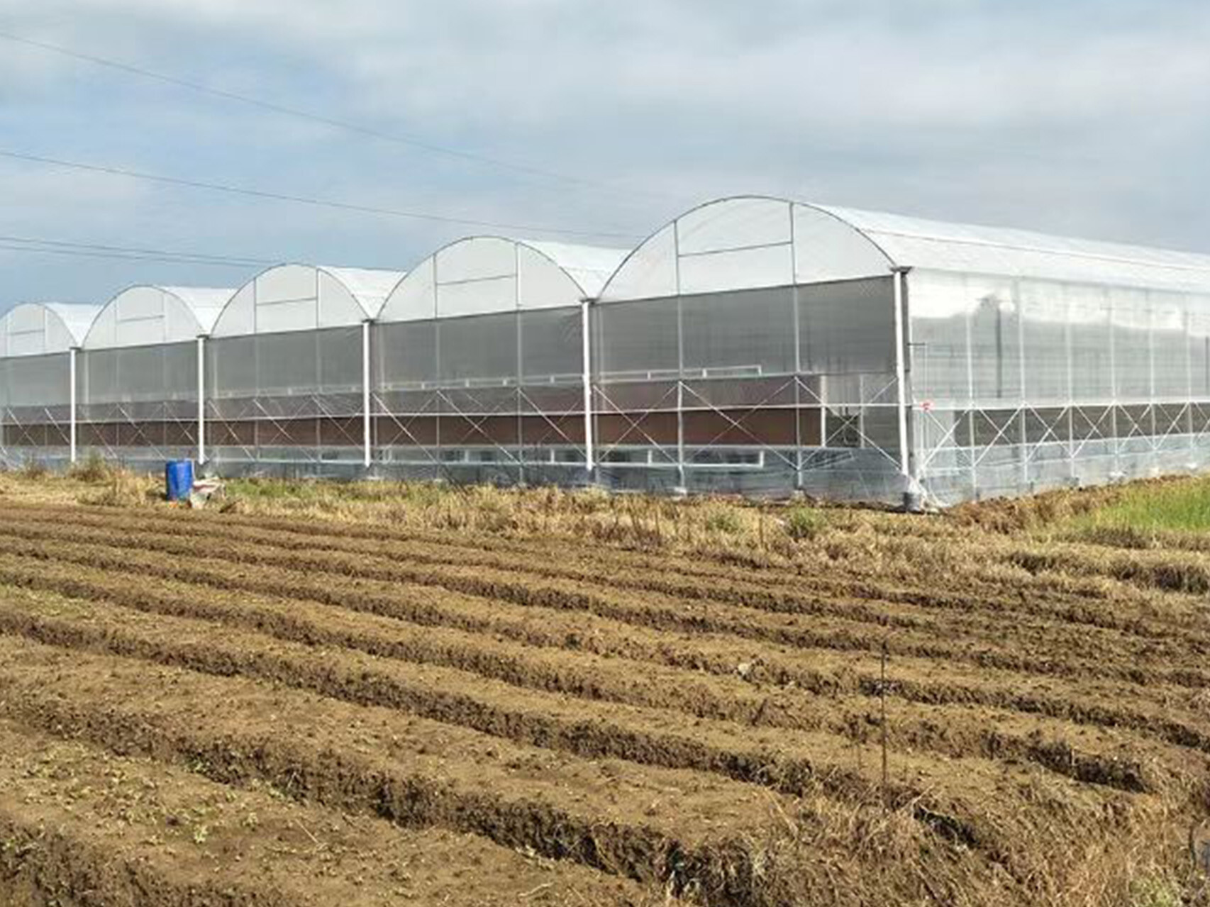 薄膜连动智能大棚