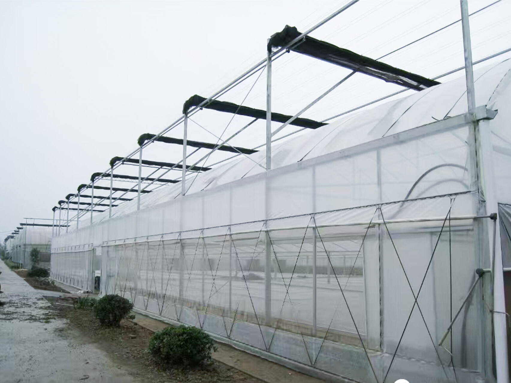 薄膜连动智能大棚