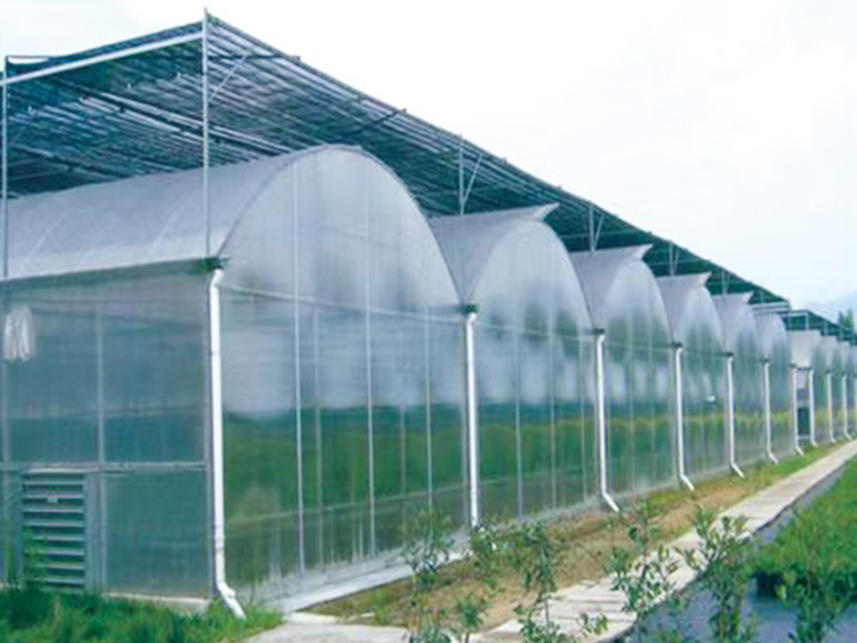 薄膜连动智能大棚