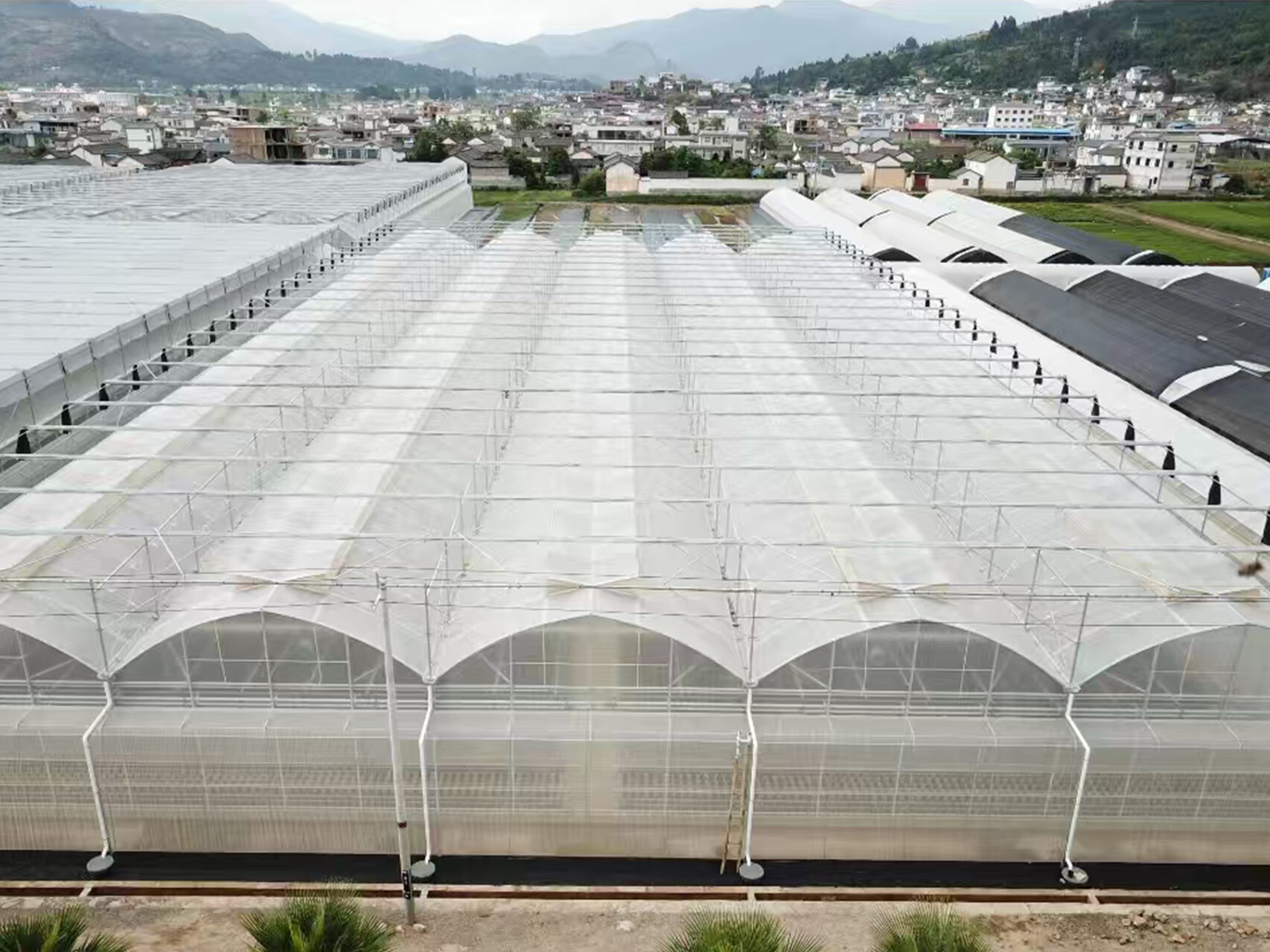 薄膜连动智能大棚