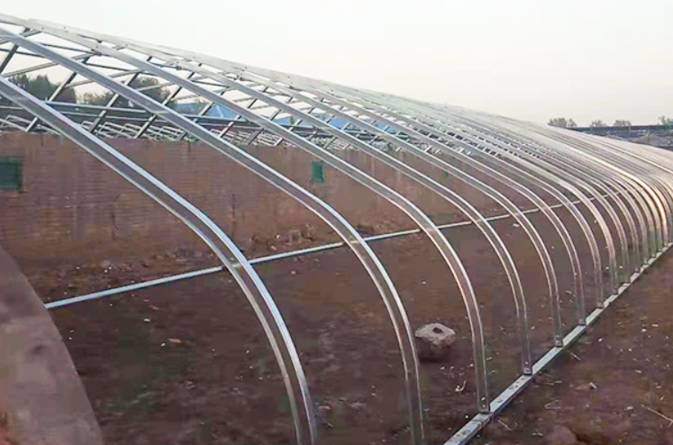选对几字钢骨架，开启温室大棚高效种植新时代