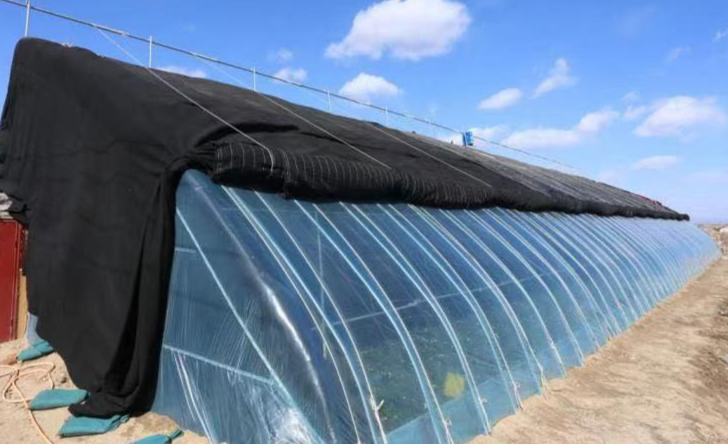 大棚棉被：守护农业的温暖屏障