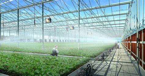 智能玻璃温室大棚喷灌系统构建全攻略