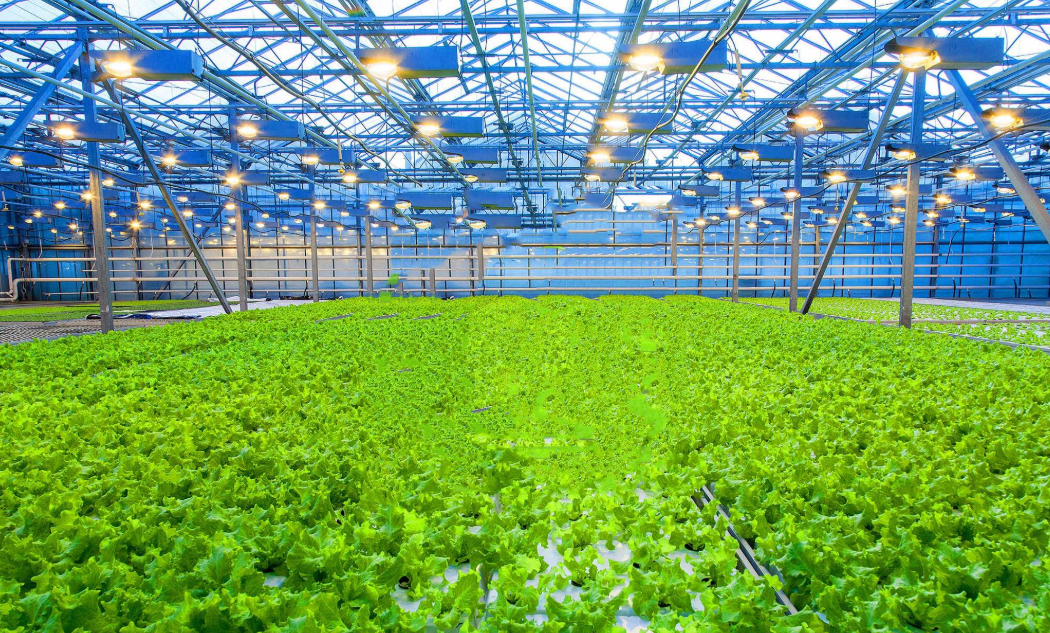 温室大棚结构设计规范全解析：安全・环保・效能的现代农业基建指南