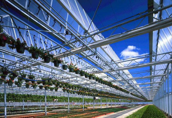 如何精准判断温室大棚建设是否偏离耕地农业用途？