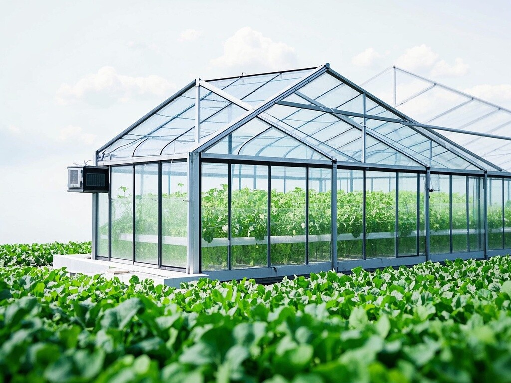 有机蔬菜温室大棚：构建可控的生态农耕系统