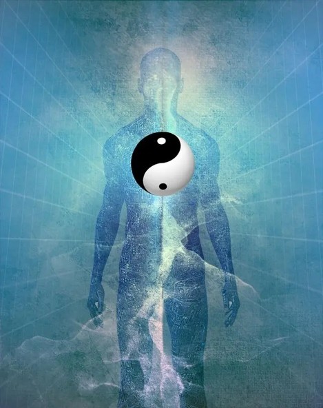 人体与道.png 人体与道.png