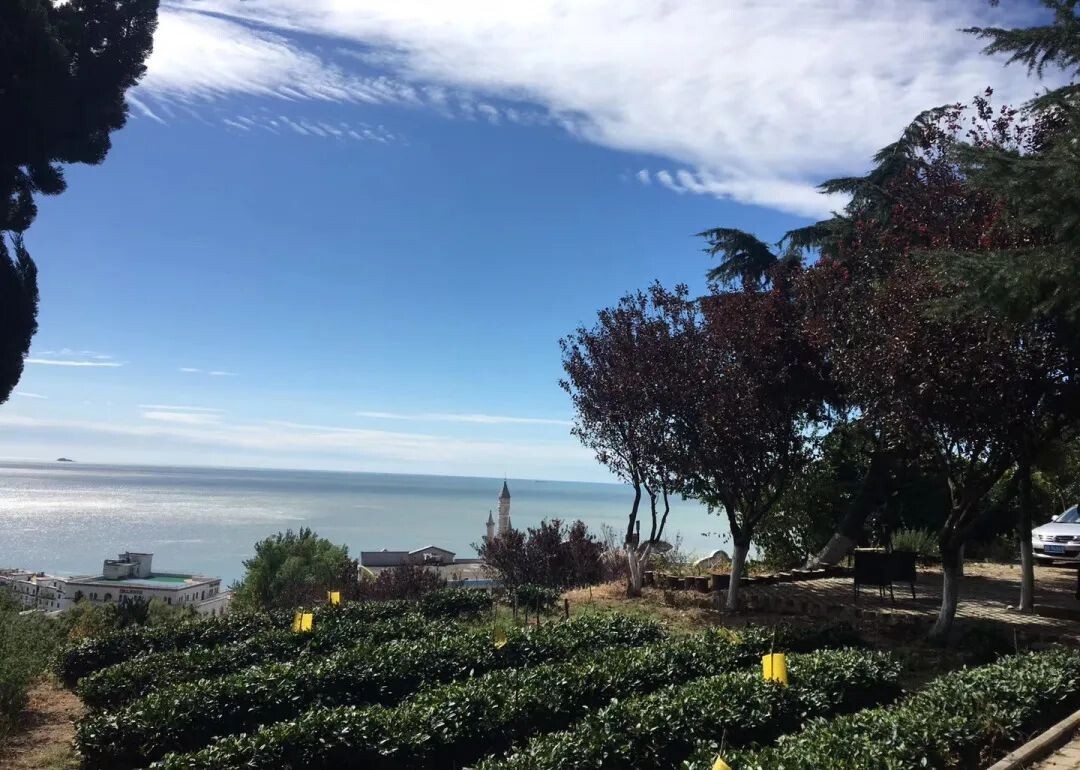 1732064122717662703717502976.jpg 1732064122717662703717502976.jpg