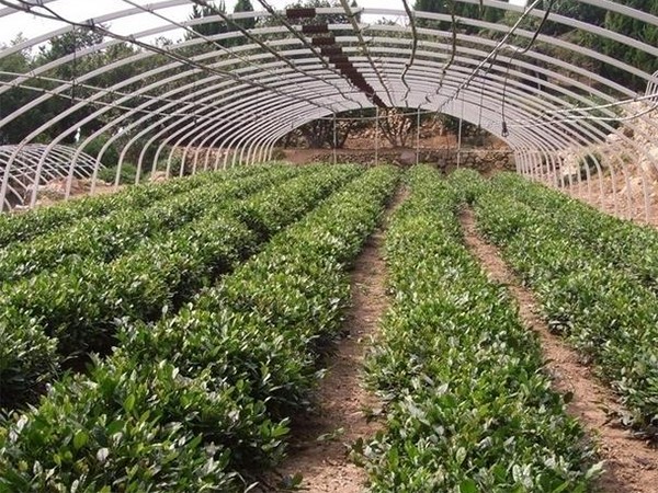 1732070646717690069923713024.png style=