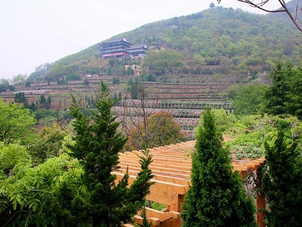 1732071846717695104208338944.jpg style=