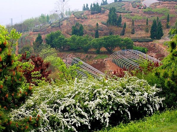 1732071846717695104220975104.jpg style=