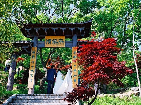 1732071846717695104225157120.jpg style=