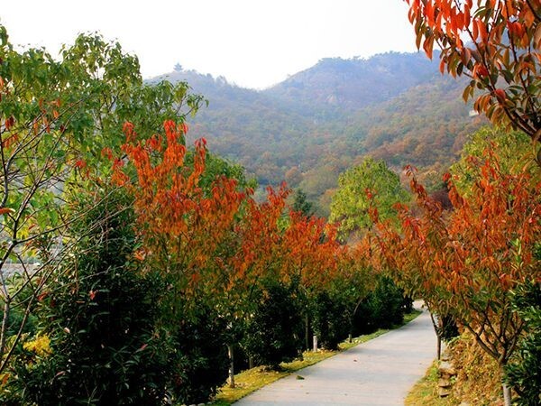 1732071846717695104229302272.jpg style=