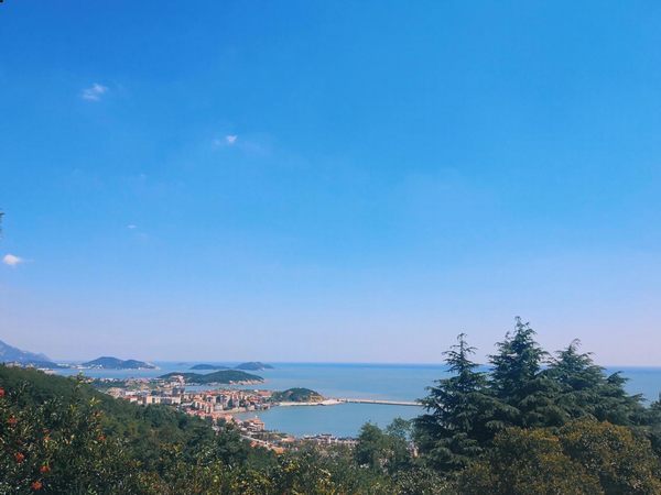 1732071846717695104237740032.jpg style=