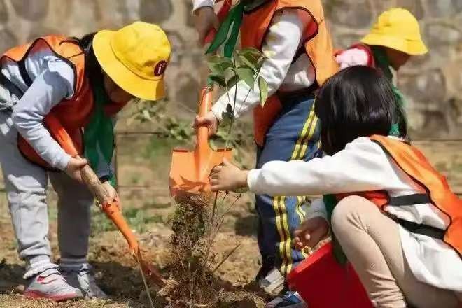 图片 1.png 图片 1.png