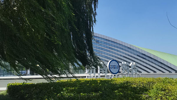 抢占药食同源新赛道!攻克口腔溃疡、尿酸高难题 抢占药食同源新赛道!攻克口腔溃疡、尿酸高难题