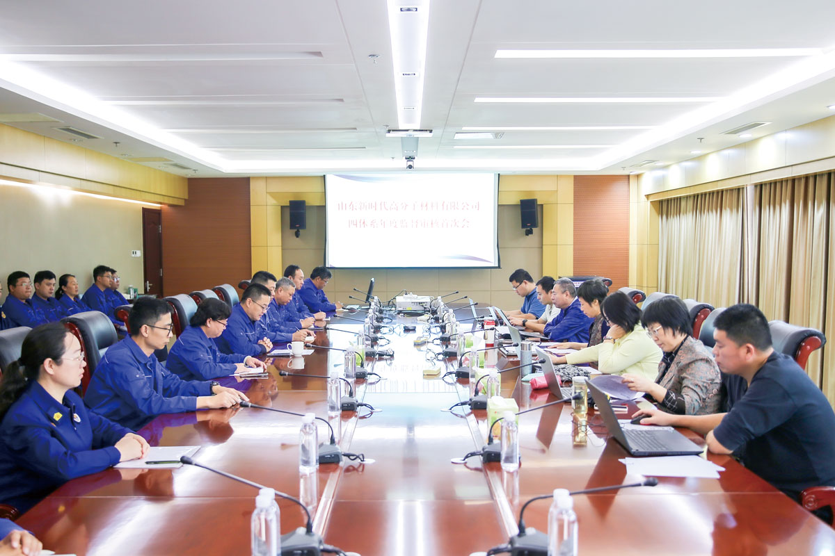 新时代公司通过“四体系”年度监督审核