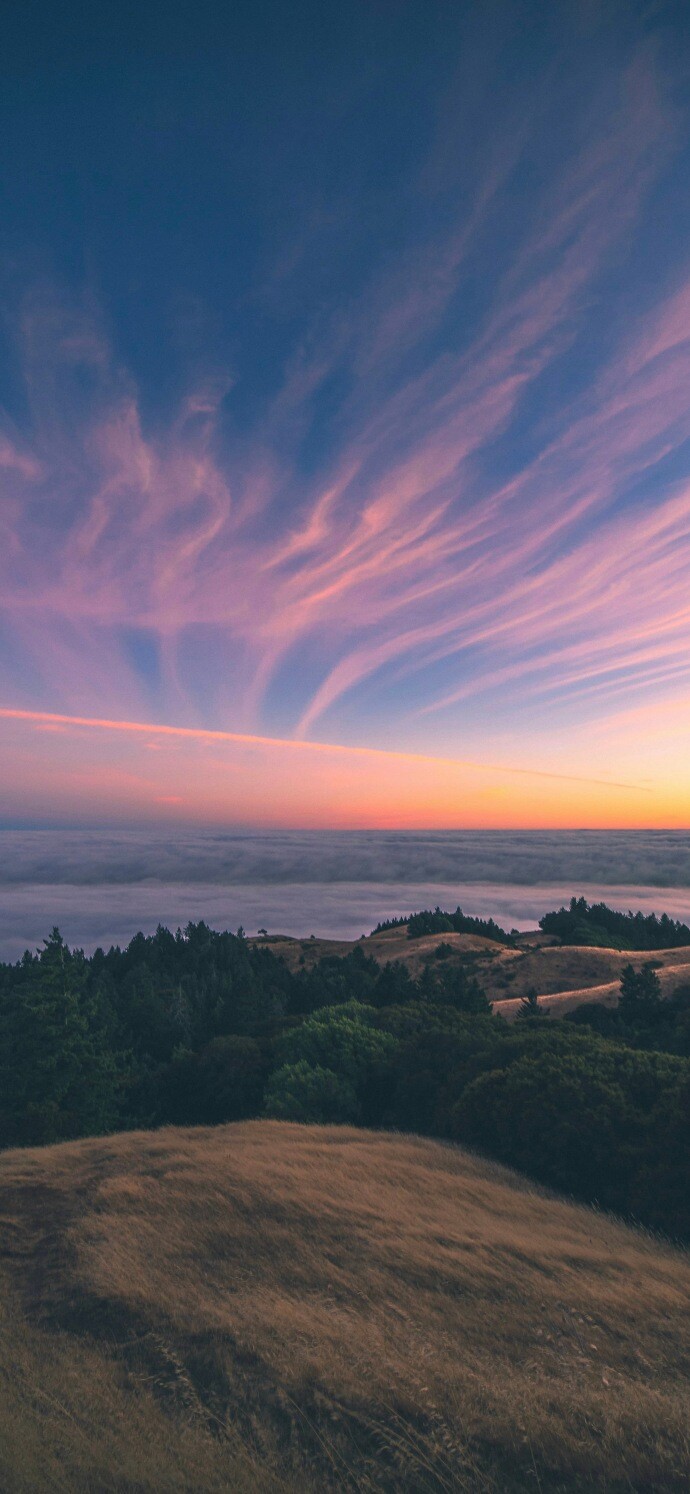 005Dg9pggy1hq9jkfix5bj32554n17wh