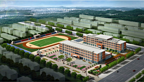 宁津城区小学鸟瞰